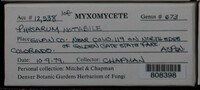 Image Associated With the Occurence